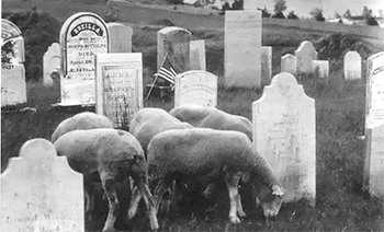 Cemetery Maintenance Controversy, Recycled Missle Silos, and Other News Items
